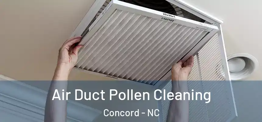  Air Duct Pollen Cleaning Concord - NC