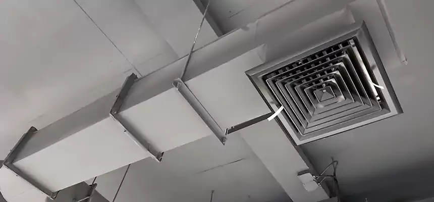 Our Pest Removal From Ducts Services in Concord, NC