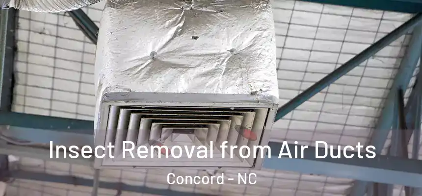  Insect Removal from Air Ducts Concord - NC