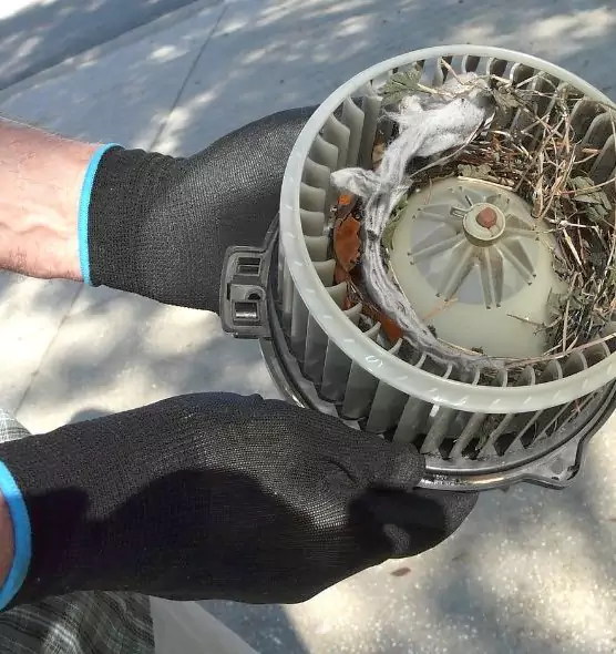 About Air Duct Rat Removal in Concord, NC