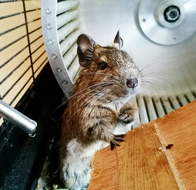 Why Homeowners & Businesses Trust Us Concord, NC?