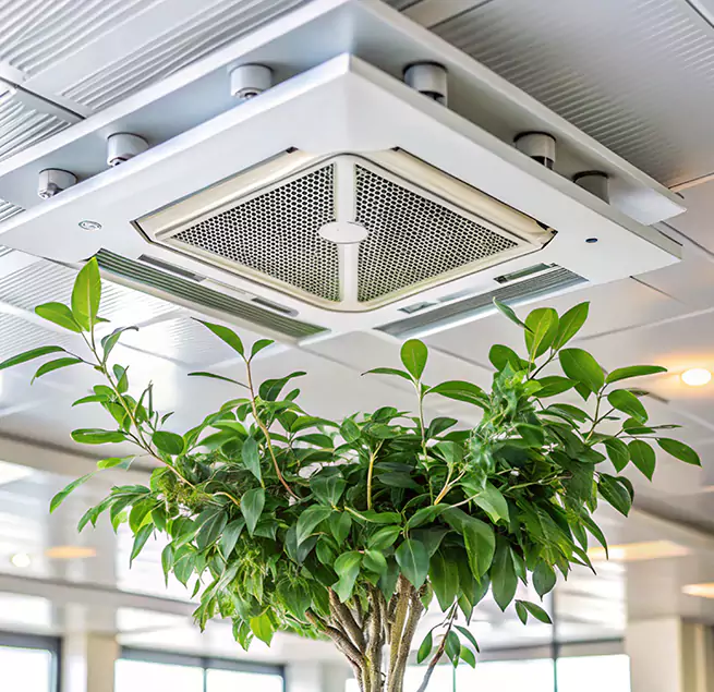 Why Homeowners & Businesses Trust Us in Concord, NC?